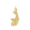 Charm Carpa