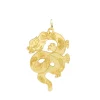 Charm Drago